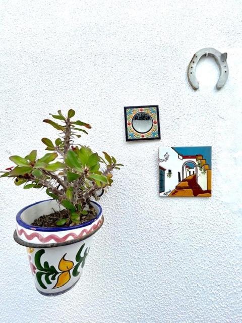 Gatu Premium Villa Patio Andaluz เอลปูแอร์โต เด ซานตามาริอา ภายนอก รูปภาพ
